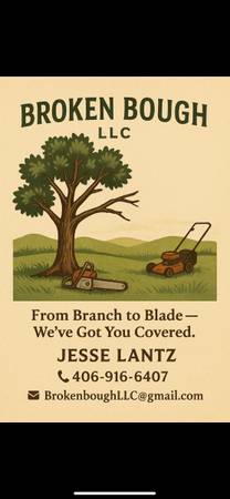 Tree, lawn and so much more 1