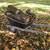 Firewood 1 thumbnail