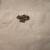 Indianapolis 500 Pitt pass badge 1947 3 thumbnail