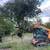 Brush Pulling by the Root 2 thumbnail