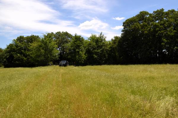 $995,000 FOR SALE: 0 CR 2854!! (Eustace)64037559624451123