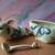 Lenox Poppies on Blue Covered Sugar Bowl. Pig Shape 2 thumbnail