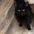 REHOMING 4 thumbnail