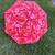 Umbrella 1 thumbnail