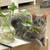 Gray tabby cat free to a new home 1 thumbnail