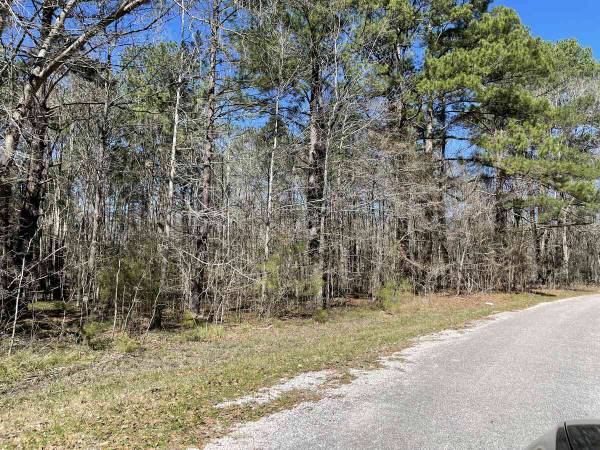 $18.080 ~ Terreno de 0,35 acres en Riverside: ¡Perfecto para inversionistas... o para construir su hogar soñado! (Huntsville)