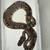 Ball python 1 thumbnail
