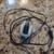Small aquarium air pump and heater $15 1 thumbnail