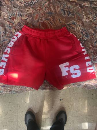 FS 1