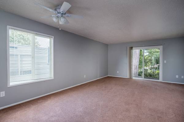 Spacious 2 Bedroom. Available Now! 1