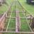 Hay conveyor. 24 ft 1 thumbnail