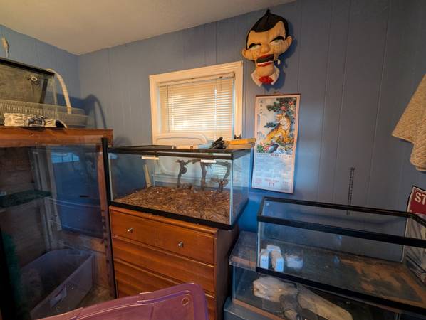 Reptile Cage/Fish tanks (Manchester)63656348431745123