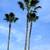 Tree service 20 thumbnail