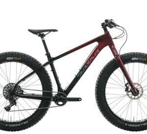 Mint condition SALSA BEARGREASE CARBON FRAME Eagle X1