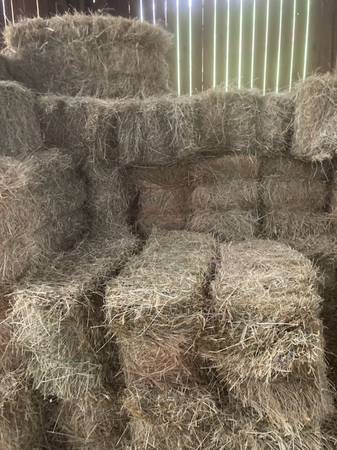 Mulch Hay 1
