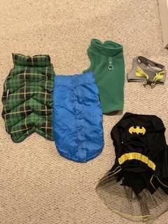 Fall /Winter medium dog coats (3 each) 1