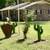 Nice Brick home on two acres with year round spring. 1 thumbnail