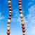 Necklace Mother of Pearl with Malachite,Agate &Aventurine/Carnelian 5 thumbnail