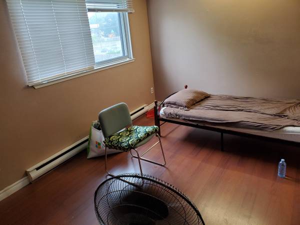 Furnished room for Professionals 1