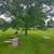 Burial plot 3 thumbnail