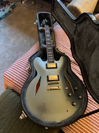 Epiphone Dave Grohl DG-335 Guitar 1