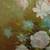 WHITE ROSES 3 thumbnail