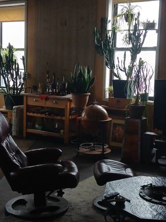$1,350 BR available in Red Hook loft63689645676803121