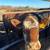 Beef cows 6 thumbnail