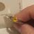 ring 5 thumbnail