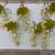 Hand made beautiful acrylic grape clusters set of 6 14 thumbnail