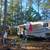 Big Thicket Hunting lease. 12 thumbnail