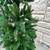 New Open Box-National Tree 6.5’ Pre-Lit Slim Multicolor Light Christma 8 thumbnail