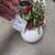 Christmas decorations 7 thumbnail