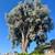 landscaping service /servicio de jardin/ we do many areas 10 thumbnail