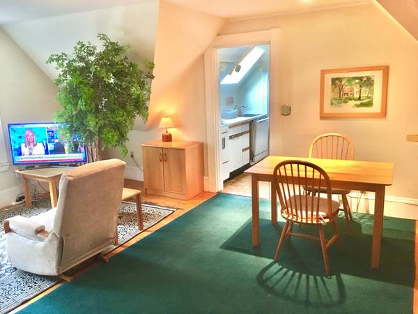 $2,850 / 1br - WALK TO HARVARD. Furnished 1 Bedrm + Study, heat, all utils & laundry (Harvard / Porter)63797254783875122
