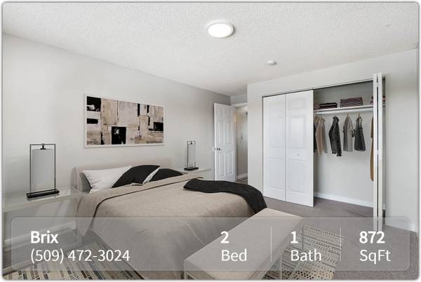 $1,450 / 2br - 872ft2 - Te encantará nuestro moderno y renovado de 872 pies cuadrados de 2 habitaciones y 1 baño (Walla Walla)63829732368257120