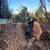 K RUSH TREE SERVICE AND LANDSCAPING LLC 22 thumbnail
