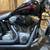 2006 Harley-Davidson Softail® Standard Softail® 10 thumbnail