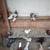 Fancy Pigeons For Sale Cappuccinos Turkish German Owls Rollers+++ 8 thumbnail