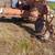 Tractor-Asphalt Sweeper 2 thumbnail