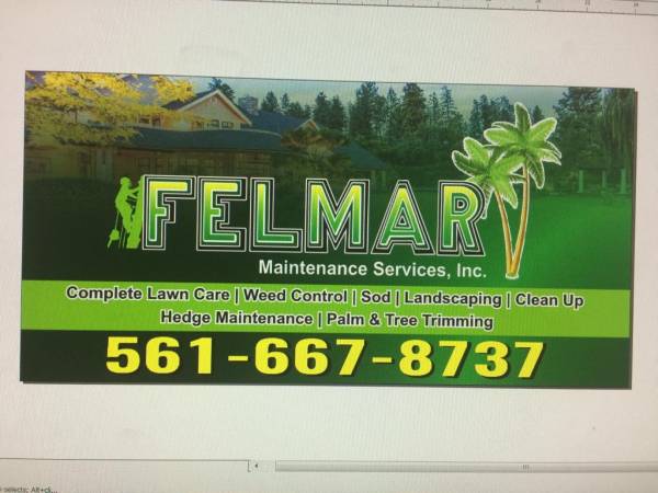 Pressure clean fix the pavers fix the sprinkler system, trim & remove tree lawn 1