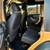 2013 Jeep Wrangler - OBO 6 thumbnail