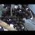 Bismarck seeds/seedlings, Royal Palm, Cabbage palm seedlings and more 3 thumbnail