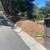 TREE &STUMP GRINDING &STUMP REMOVAL SERVICE 15 thumbnail