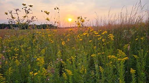Traveling writer seeks short-term seasonal rental (Madison area) 1