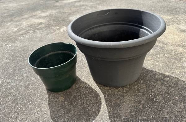 Two Monstera and pots - $15 (sunset / parkside)63471132527875123