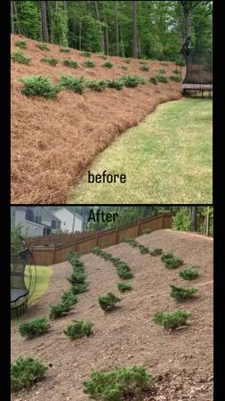 Pine Straw/Mulch Installation 1