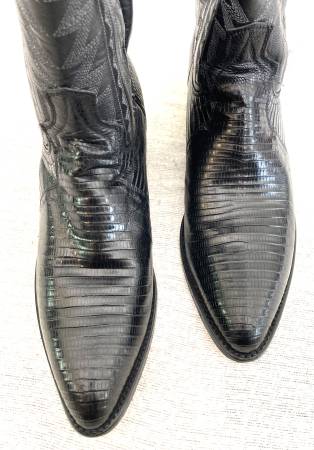 Size 9.5 Dan Post Exotic Lizard Western Boots 1