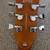 Brand New ESP LTD EC-1000T Fluence Honey Burst Satin 12 thumbnail