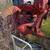 1948 Case Tractors 2 thumbnail